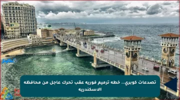 تصدعات كوبري.. خطة ترميم فورية عقب تحرك عاجل من محافظة الإسكندرية